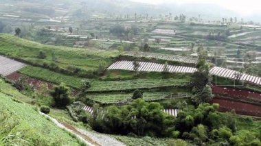 Tarım sistemi erozyonu azaltmak için Merbabu Dağı 'nın yamaçlarındaki terasları kullanır.