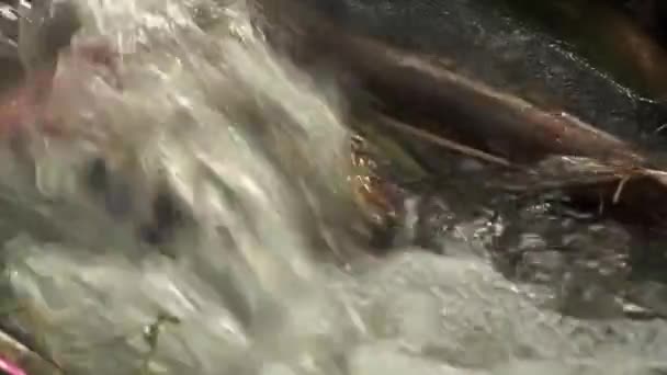 Stroom Van Een Zijrivier Met Troebel Bruin Water Weerspiegelt Aanwezigheid — Stockvideo