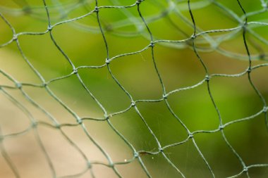 Ağ beyaz-yeşil plastikten yapılmış, kullanılmış, yeşil yaprakların arka planı bulanık.