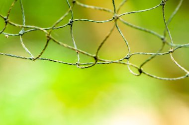 Ağ beyaz-yeşil plastikten yapılmış, kullanılmış, yeşil yaprakların arka planı bulanık.