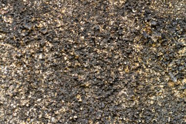 Duvarlar açık kahverengi kuvars kumlarıyla kaplıdır. Siyaha dönüşmeye başlamışlardır. Kirli ve yaşlanmış görünürler.