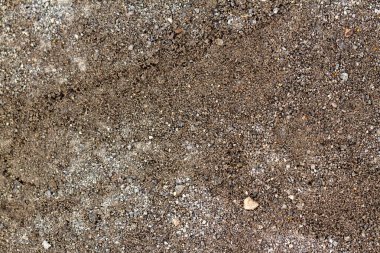 Beton duvarın eşsiz gri bir dokusu ve pürüzlü bir yüzeyi vardır, arka plan için kullanılır.