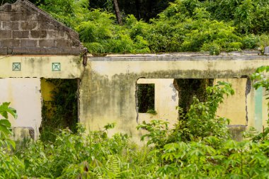 Zarar görmüş ve bitkilerle ve otlarla çevrili olmayan eski bir bina, doğaya geri dönüyor.