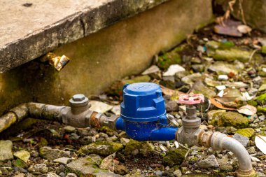 Bahçenin köşesindeki mavi musluk, bahçedeki su akışını kontrol etmek için kullanılır, su hayatın bir gereklililiğidir.