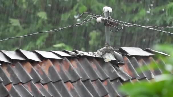 Água Chuva Pesada Cai Sobre Telhas Marrons Feitas Argila Característica — Vídeo de Stock