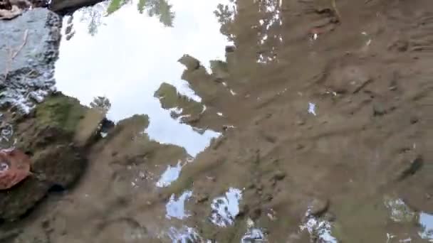 Ένα Μικρό Ποτάμι Που Διασχίζει Τον Κήπο Νερό Είναι Ακόμα — Αρχείο Βίντεο