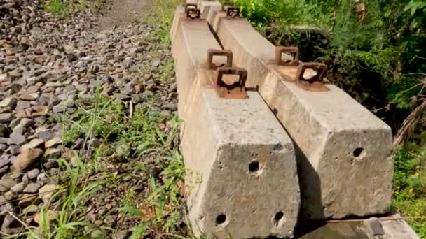Çakıl Taşlarını Yastık Olarak Kullanan Tren Rayları Yeşil Pirinç Tarlalarını — Stok video