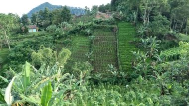 Dağlık bölgelerde bulunan ve serin bir sıcaklığa, yeşilliğe ve doğaya sahip bir köyün manzarası