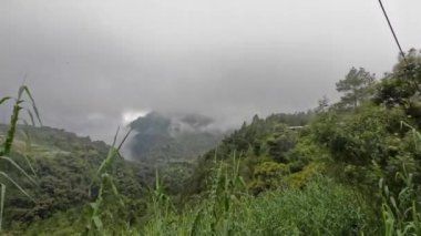 Dağlardaki yoğun sis zamanı Lawu Dağı, Doğu Java, dağların soğuk yamaçlarındaki manzara.