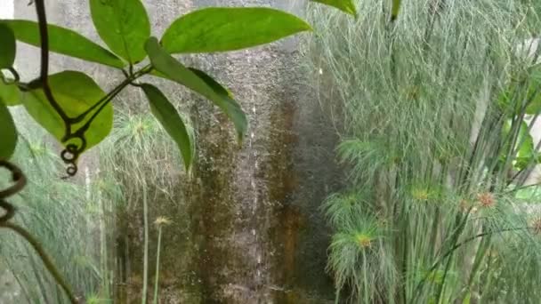 Uma Mini Cachoeira Localizada Canto Jardim Cria Uma Atmosfera Natural — Vídeo de Stock