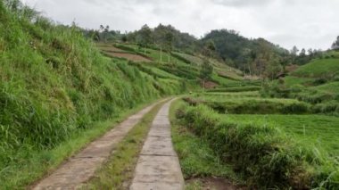 Çiftçilik ve bahçıvanlık için yeterli güneş ışığı ve çiftçiliğe elverişli soğuk hava olan verimli topraklar, köydeki sakinlerin evleri ile yan yana.