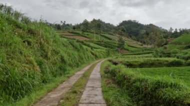 Çiftçilik ve bahçıvanlık için yeterli güneş ışığı ve çiftçiliğe elverişli soğuk hava olan verimli topraklar, köydeki sakinlerin evleri ile yan yana.