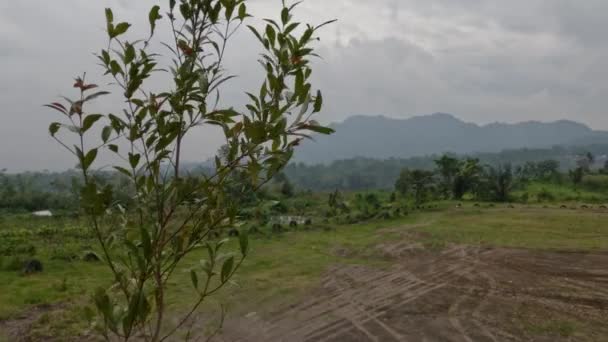 Uitzicht Velden Hellingen Van Berg Merapi Tropische Gebieden Met Voldoende — Stockvideo