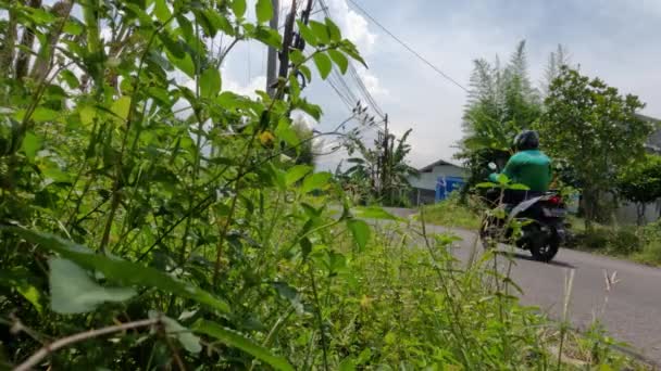 Groen Gras Groeit Aan Kant Van Weg Zwaaien Elke Keer — Stockvideo