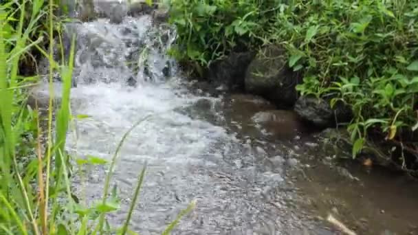 Vodní Kanál Který Rozděluje Zemědělskou Plochu Voda Stále Čistá Používá — Stock video