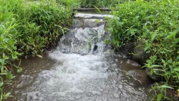 Canal Eau Qui Divise Zone Agricole Eau Est Encore Propre — Video