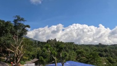 Central Java 'nın Merbabu Dağı' ndaki tepelerde zaman kaybı, kırsal alanda bir sürü yeşil bitki var.