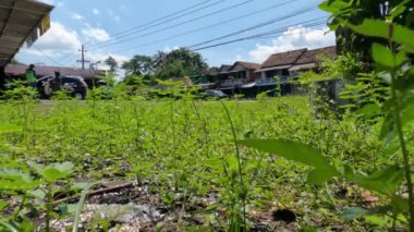 YOGYAKARTA, Indonezya - 3 Mayıs 2022. 2022 yılının ikinci gününde sabah ana caddeden Yogyakarta şehrine kadar olan durum..