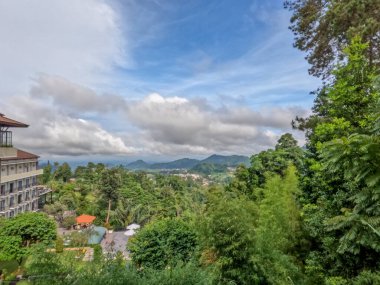 Dağlık arazide serin hava ile doğal manzara, yeşil bitkiler temiz hava sağlar.