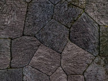 Bahçedeki çimento ve doğal taşlarla duvarlar, doğal bir ortam yaratmak için dekorasyonlar, doğa temalı bir arka plan.