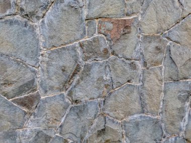 Bahçedeki çimento ve doğal taşlarla duvarlar, doğal bir ortam yaratmak için dekorasyonlar, doğa temalı bir arka plan.