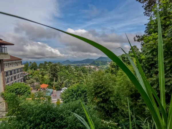 Dağlık arazide serin hava ile doğal manzara, yeşil bitkiler temiz hava sağlar.