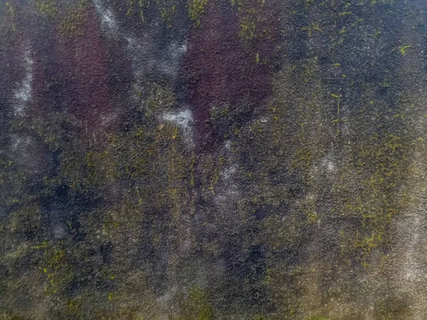 Стіни Саду Цементом Природним Каменем Вирощеним Мохом Прикраси Щоб Представити — стокове фото