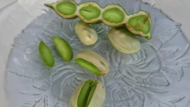 Top View Bitter Bean Pieces Green Seeds Have Been Peeled — Stock Video