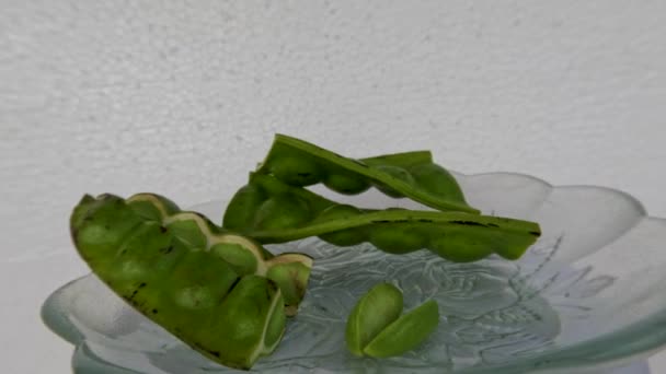 サイドビュービタービーンフルーツの部分は緑色で 種子は皮をむかれ 小さなガラス板に置かれ 新鮮な野菜や料理のスパイスに使われます — ストック動画