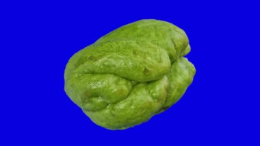 Sebze olarak kullanılmaya hazır büyük yeşil bir chayote, doğadan gelen besin malzemeleri.