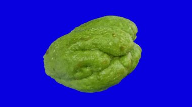 Sebze olarak kullanılmaya hazır büyük yeşil bir chayote, doğadan gelen besin malzemeleri.