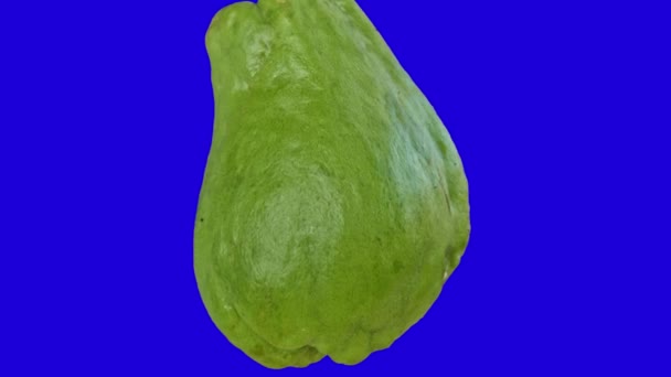 Gran Chayote Verde Listo Para Ser Utilizado Como Verduras Ingredientes — Vídeo de stock