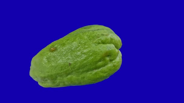 Gran Chayote Verde Listo Para Ser Utilizado Como Verduras Ingredientes — Vídeos de Stock