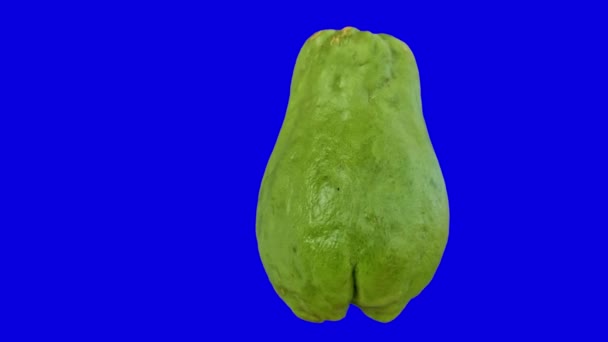 Jeden Velký Zelený Chayote Připravený Použití Jako Zelenina Složky Potravin — Stock video