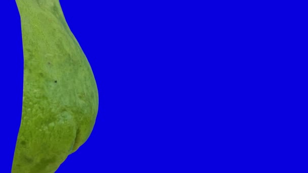 Gran Chayote Verde Listo Para Ser Utilizado Como Verduras Ingredientes — Vídeo de stock