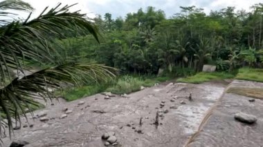 Çamur ve volkanik kül taşıdığı için suyu bulutlu olan bir şelalenin manzarası Java 'daki Merapi Dağı' nın püskürmesinden oluşan soğuk lav akışının yoludur.