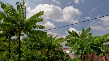 Mavi gökyüzünde beyaz bulutların hareket hızı, ön plan yeşil yapraklar, yerleşim alanının manzarası.