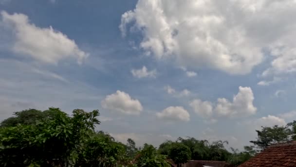 Lapso Tempo Movimento Nuvens Brancas Céu Azul Folhas Verdes Primeiro — Vídeo de Stock