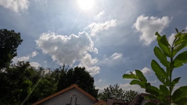 Lapso Tempo Movimento Nuvens Brancas Céu Azul Folhas Verdes Primeiro — Vídeo de Stock