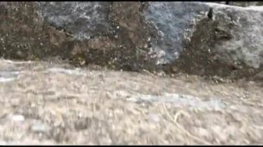 Çimento ve nehir taşı karışımından merdivenlerde kamera hareketi, eğimli hatları olan parktaki binalar.