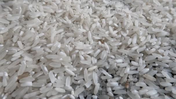 Reiskörner Die Von Schalen Befreit Wurden Fertig Gekocht Und Verzehrt — Stockvideo