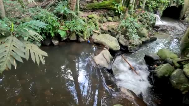 Невелика Річка Яка Перетинається Сільській Місцевості Використовується Зрошення Рисових Полів — стокове відео
