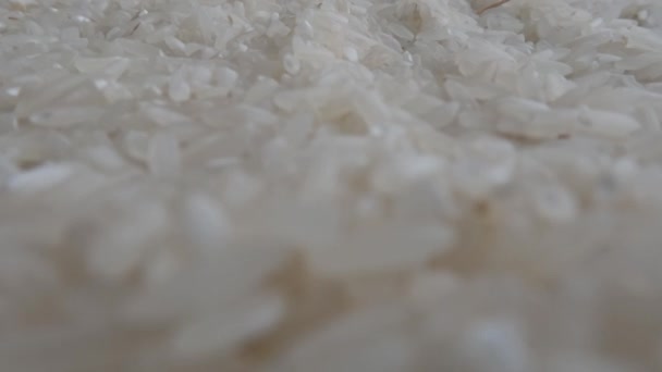 Rizsszemek Amelyeket Megtisztítottak Héjuktól Készen Állnak Főzésre Fogyasztásra Rizs Indonéziai — Stock videók
