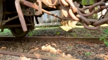 Artık kullanılmayan eski buhar treni vagonları, Ambarawa, Central Java 'daki Endonezya demiryolu müzesinin bir koleksiyonu.