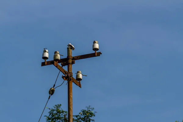 Old Power Pole Supporting High Voltage Power Lines Clear Sky — 图库照片