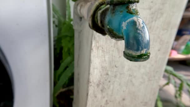 Water Faucet Made Blue Plastic Looks Dirty Overgrown Moss Doesn — Stockvideo