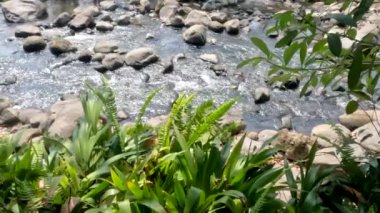 Volkanik bir dağın yanındaki küçük bir nehrin yüzeyi, Java 'daki Merapi Dağı' nın soğuk lavının yolu olan nehir boyunca yayılmış volkanik aktivitelerden kayalar.