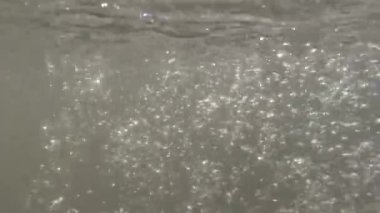 The view from the water near the waterfall which is full of air bubbles, a lot of organic material dissolved in the water so it becomes cloudy