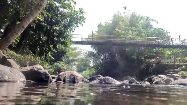 View Water Surface Small Rocky Murky River Trees Sunlight Background — Video