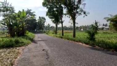 The scenery along the small path that passes through the agricultural area, has fresh air and warm temperatures on a sunny morning